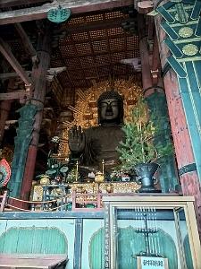 NARA - Temple Todai-Ji - 18.01.2024 -27